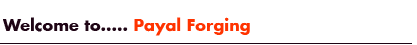 Welcome to Payal Forging